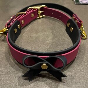 Custom • Dual Color Biothane Dog Collar w/ Detachable Handle